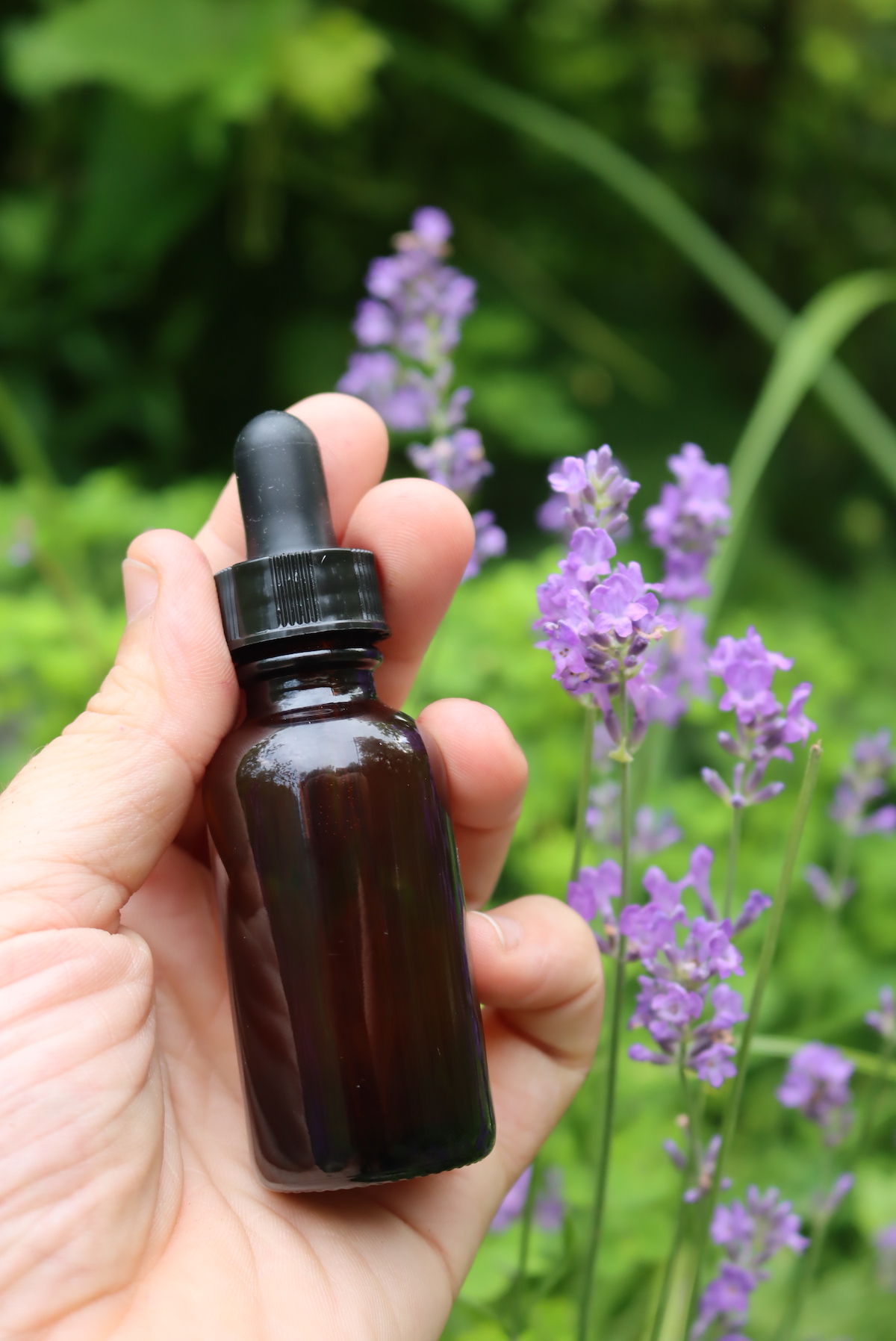 Lavender tincture