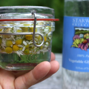 Making Chamomile Glycerite