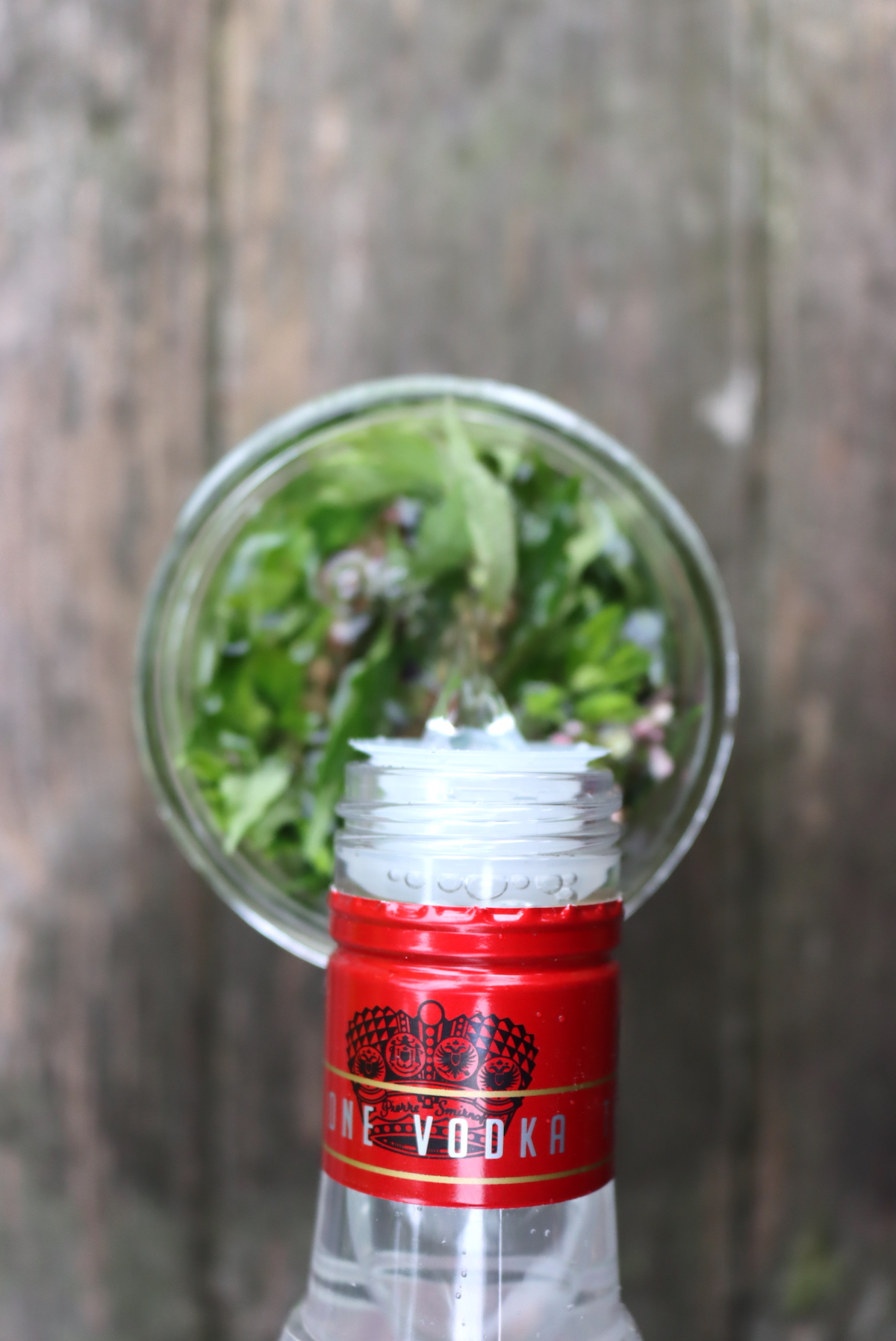 Making Motherwort Tincture