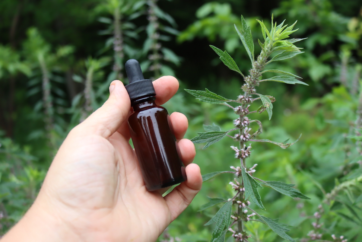 Motherwort Tincture