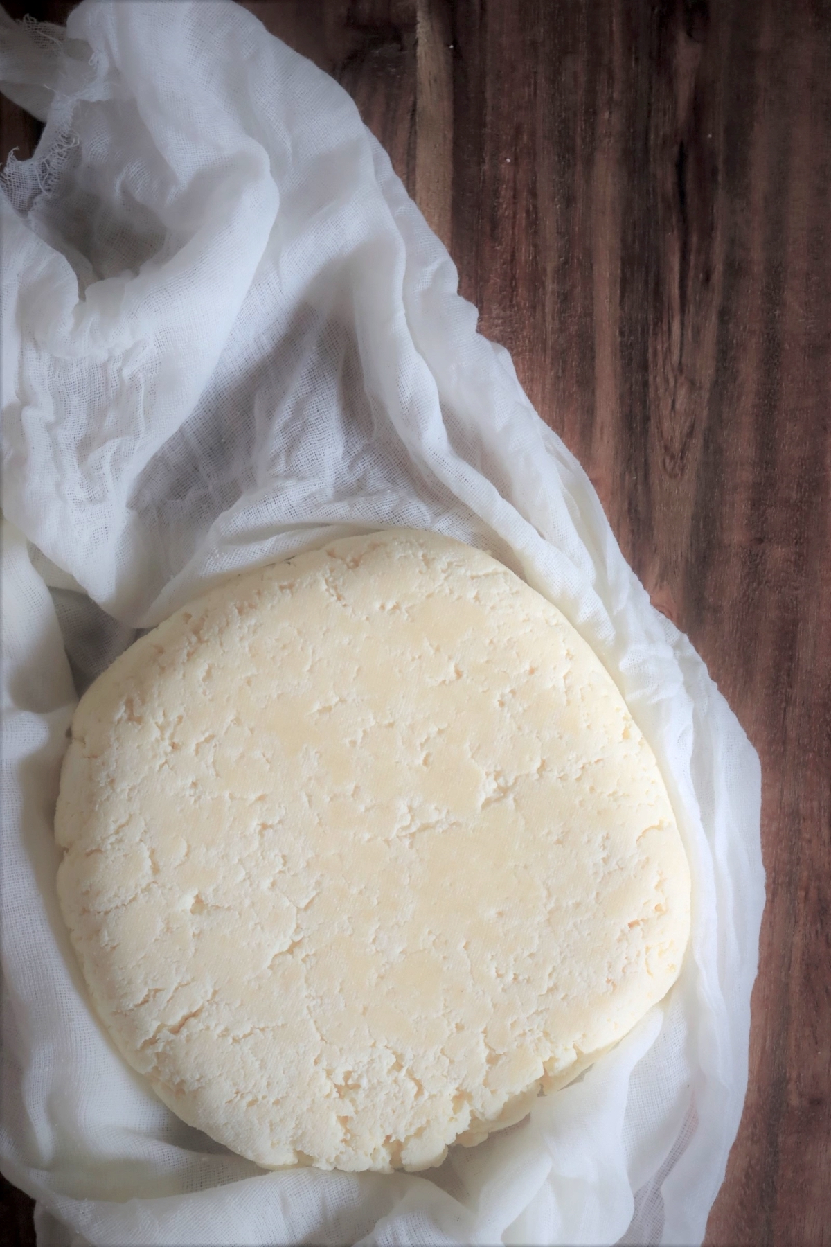 Homemade Paneer