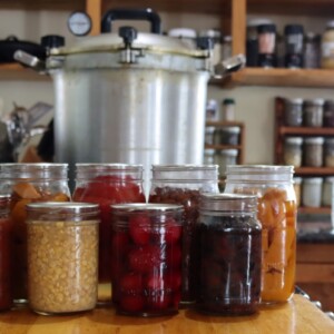 Home pressure canned food