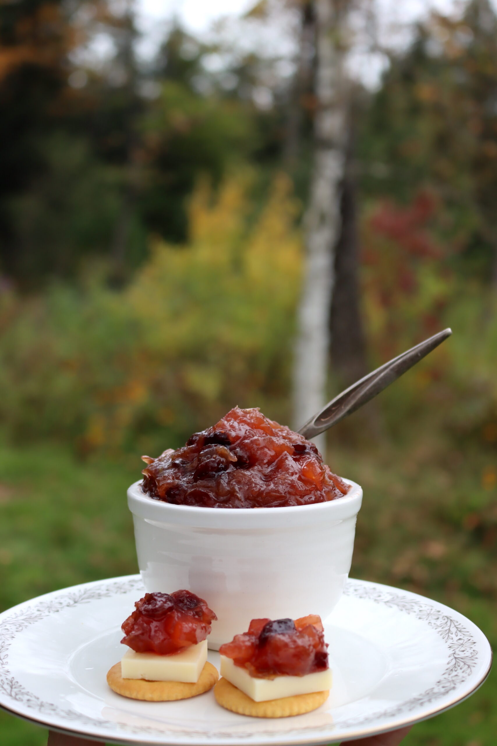 Rhubarb Chutney
