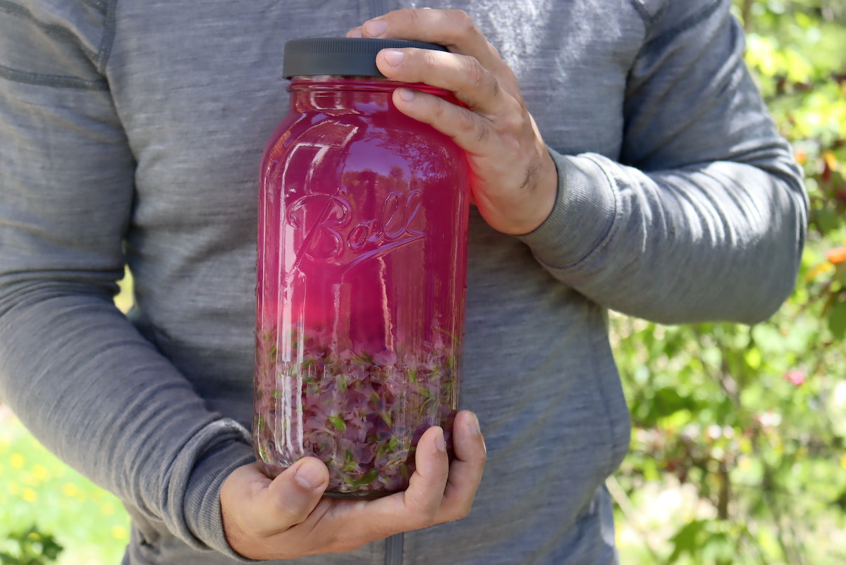 Violet Infusion