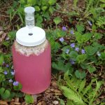 Violet Wine