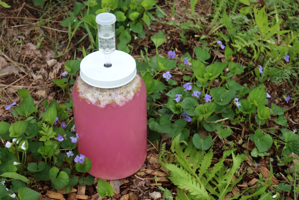 Violet Wine