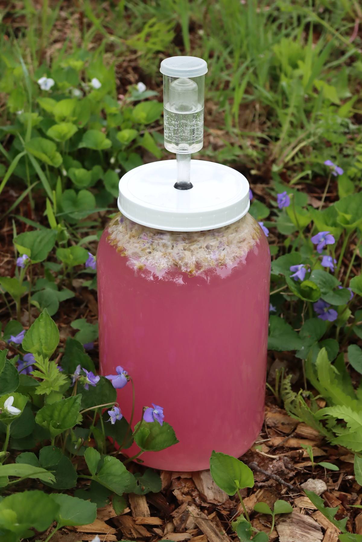 Violet Wine