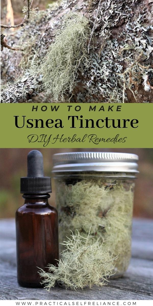 How to Make Usnea Tincture