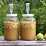 Making Pear Wine