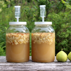 Making Pear Wine