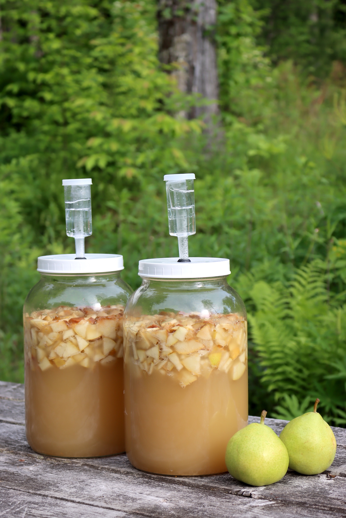Making Pear Wine