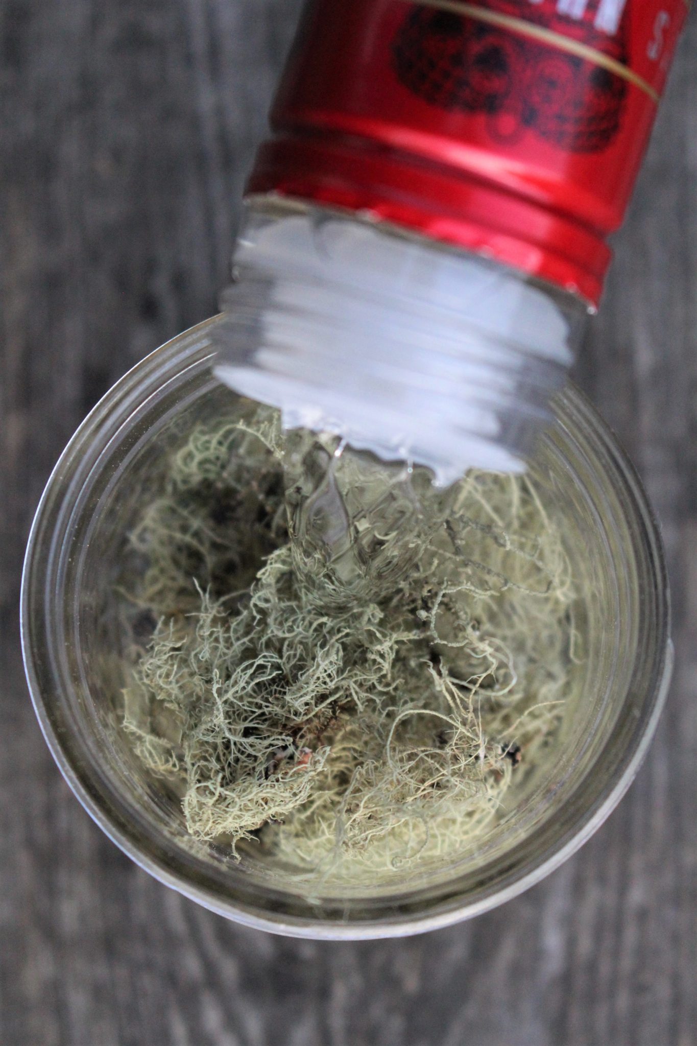Making Usnea Tincture