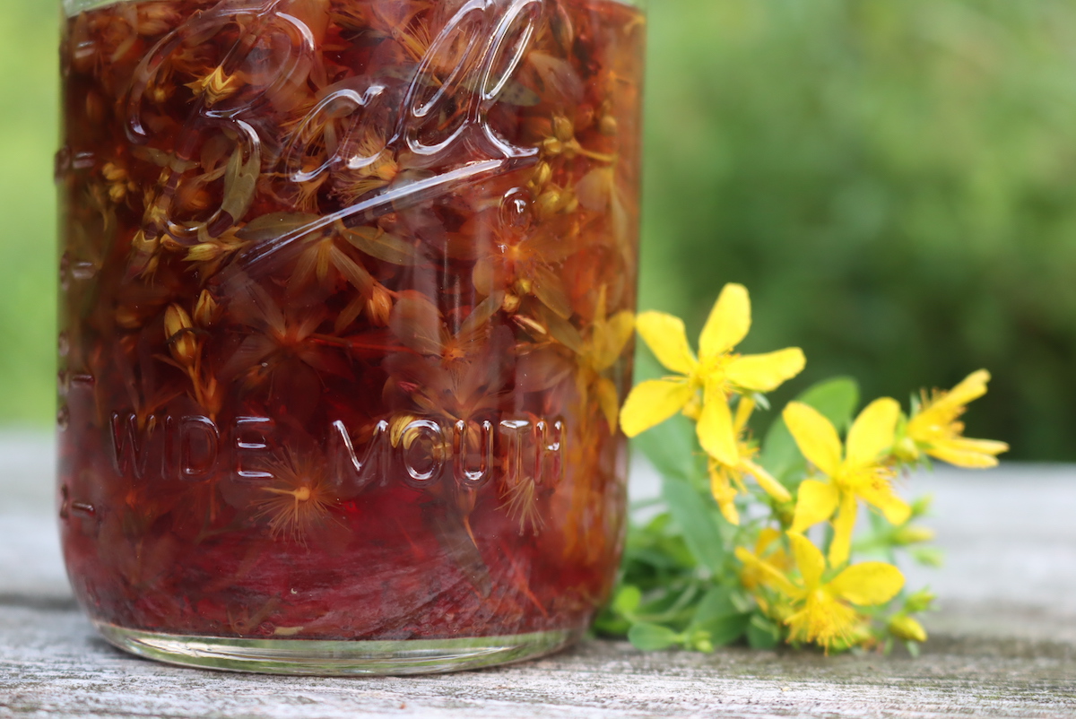 St Johns Wort Tincture