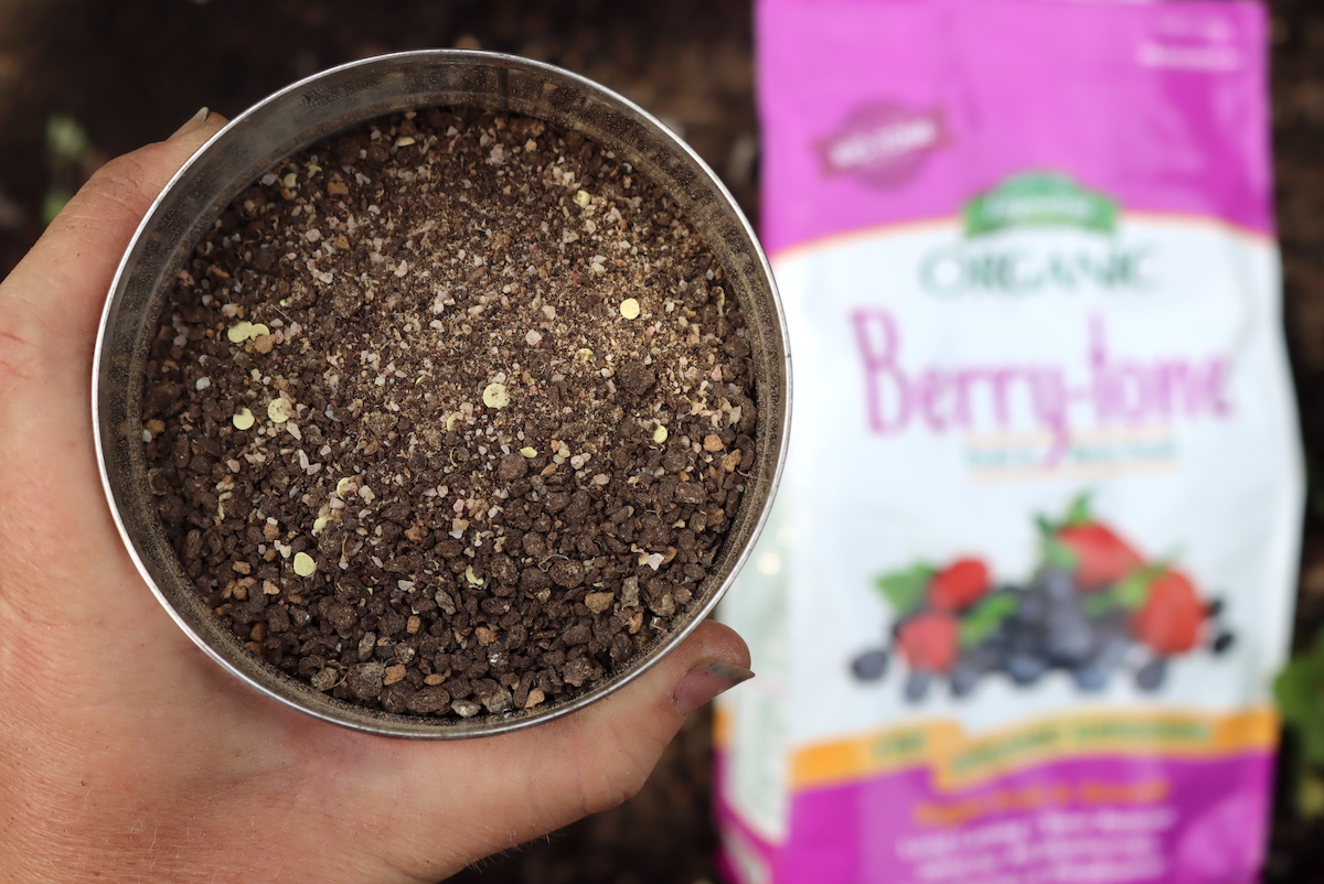 Berry tone organic fertilizer