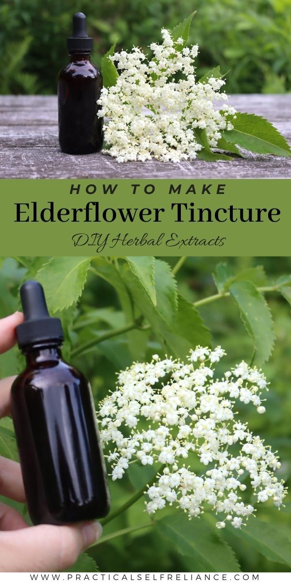DIY Elderflower Tincture