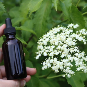 Elderflower Tincture