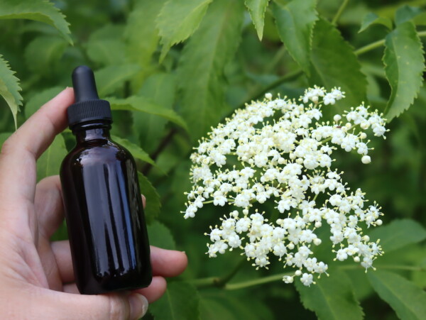Elderflower Tincture