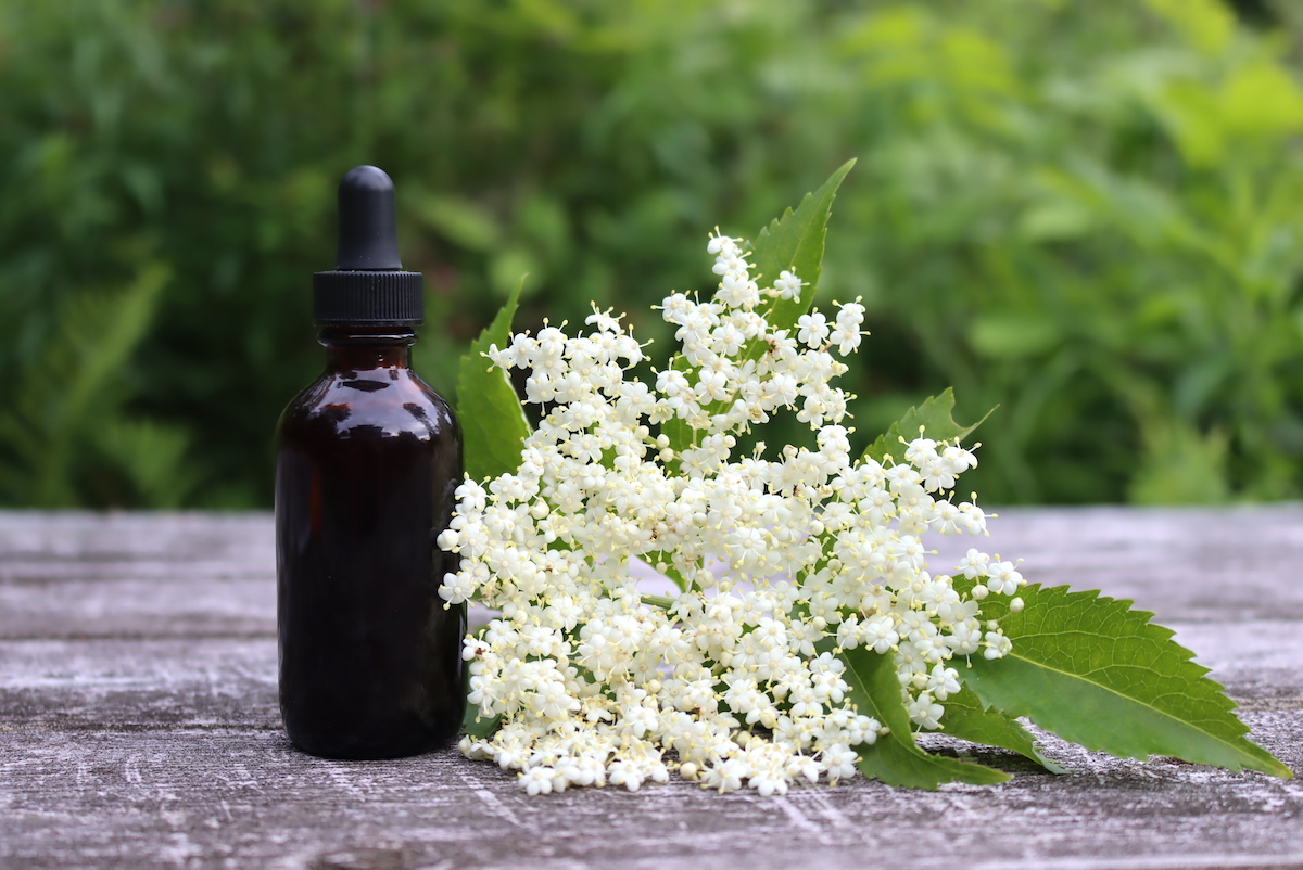 Elderflower Tincture