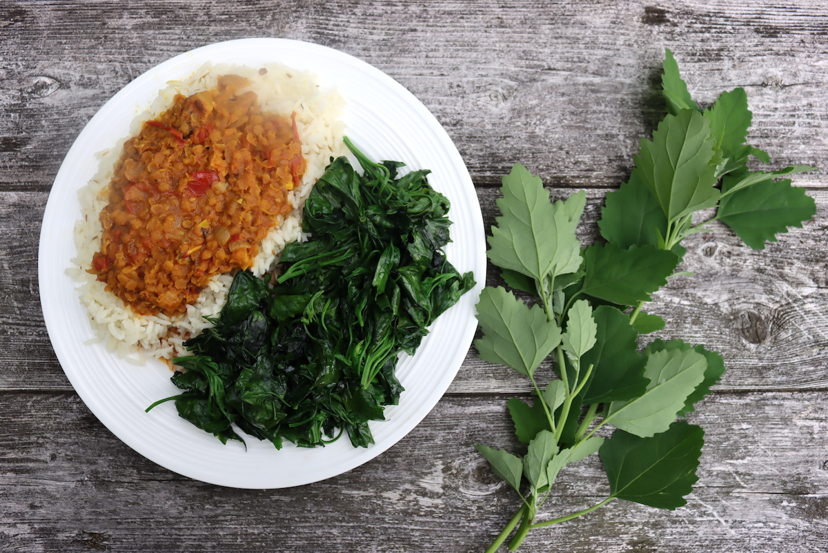 Lambsquarters curry