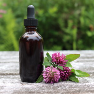 Red Clover Tincture
