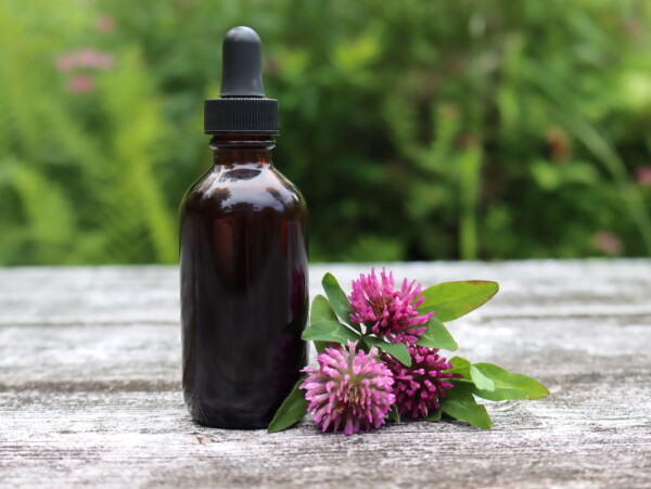 Red Clover Tincture
