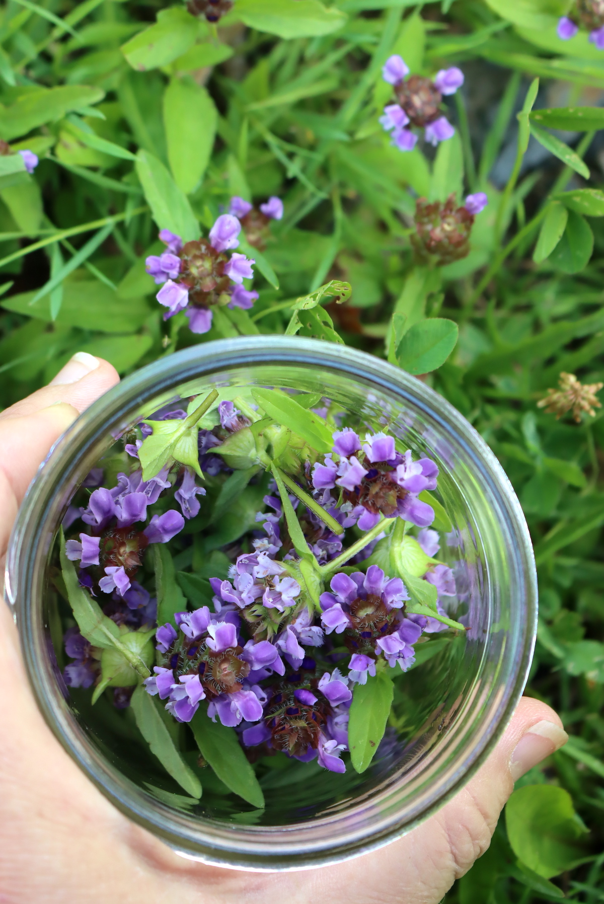 Self Heal