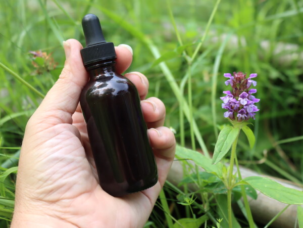 Self Heal Tincture