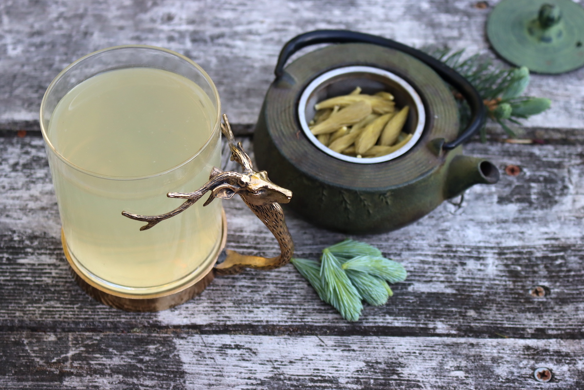 Spruce Tip Tea