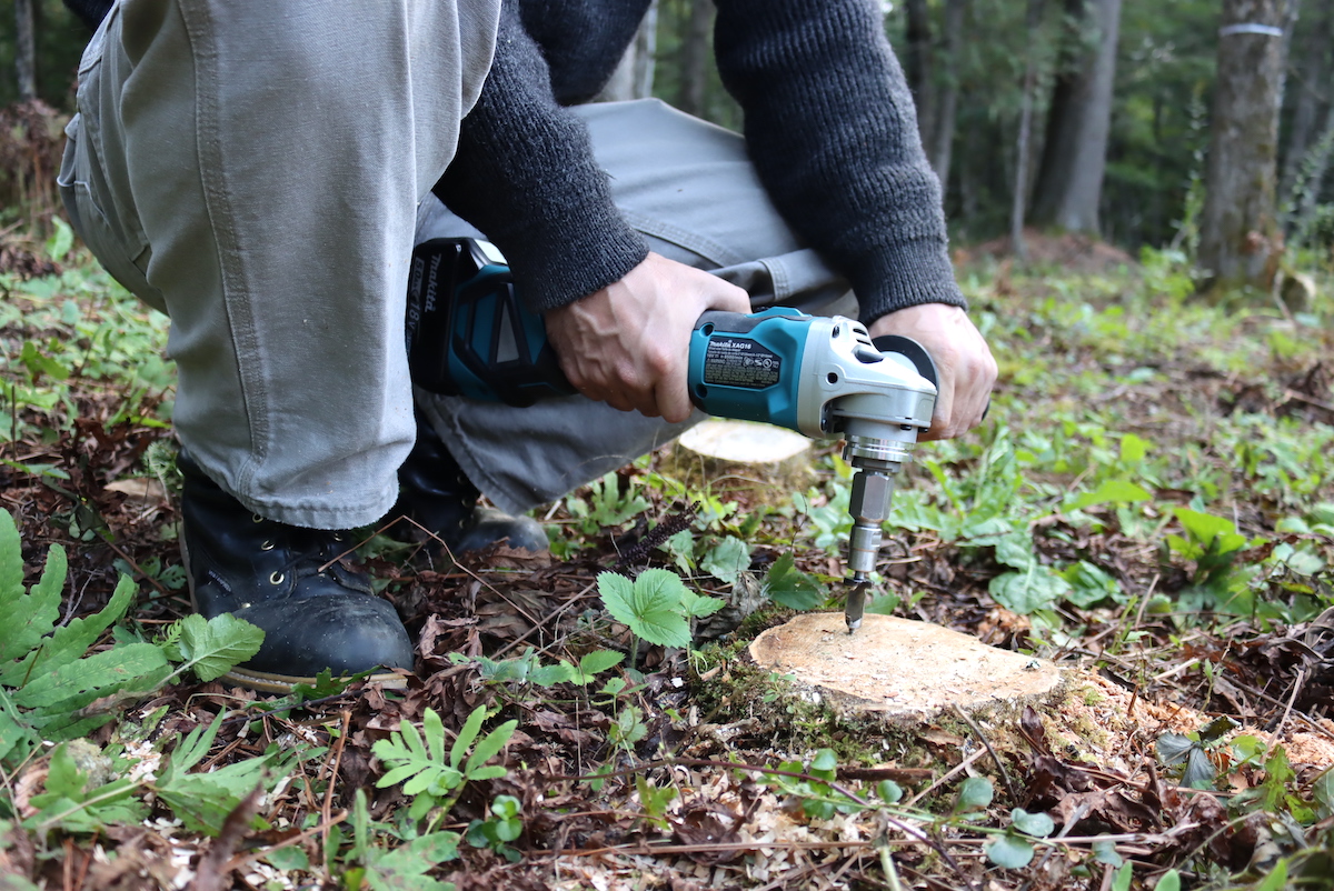 Rotting a Stump with an Angle Grinder