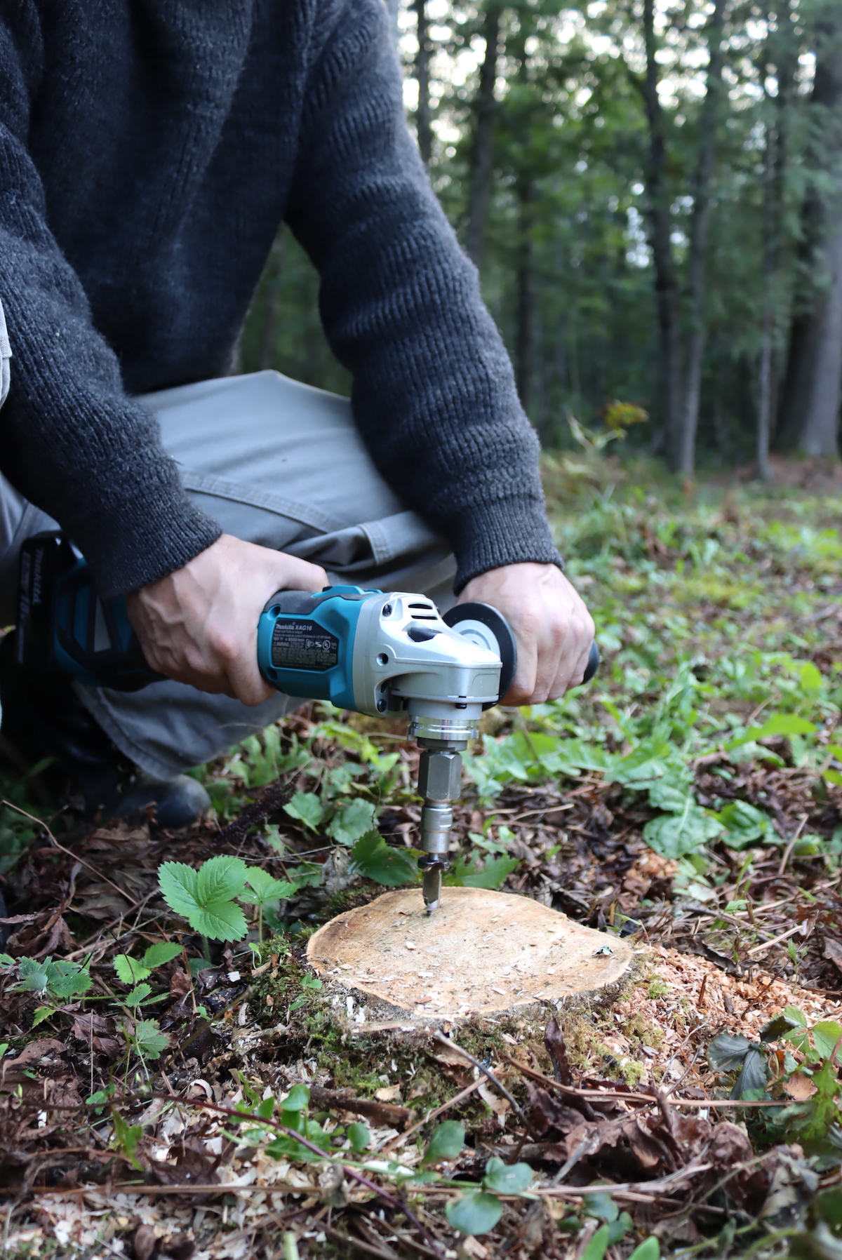Rotting a Stump with an Angle Grinder