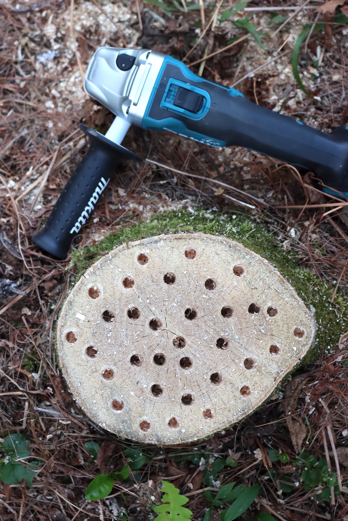 Rotting a Stump with an Angle Grinder