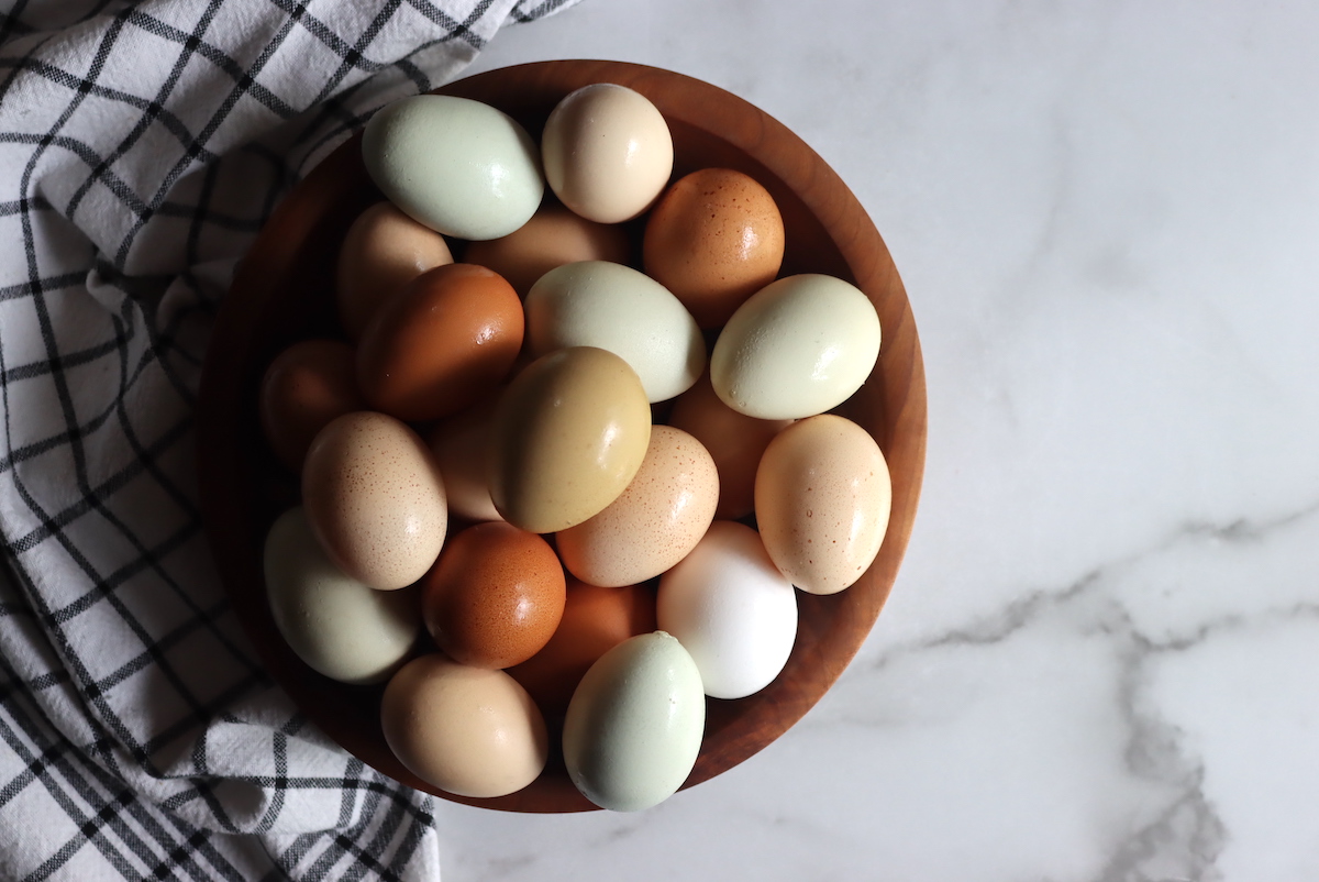 Chicken Egg Colors