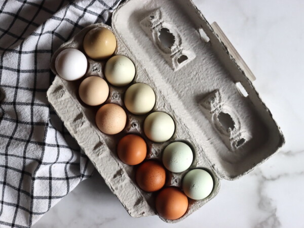 Egg Colors