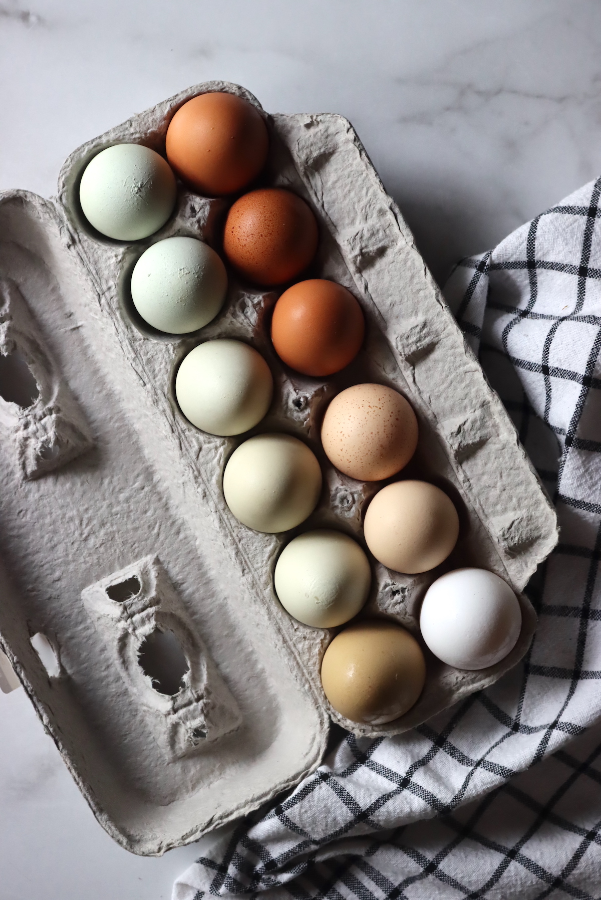 Chicken Egg Colors