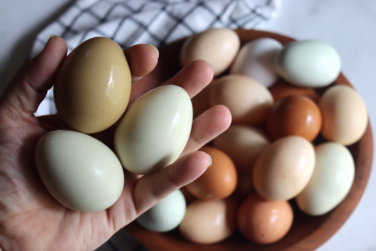 Green Eggs