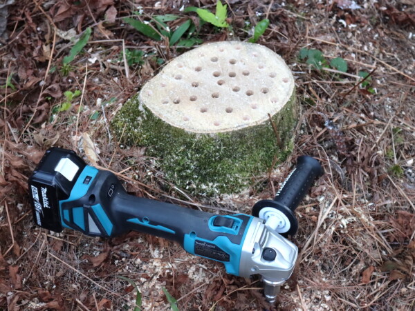 How to Rot a Tree Stump Fast