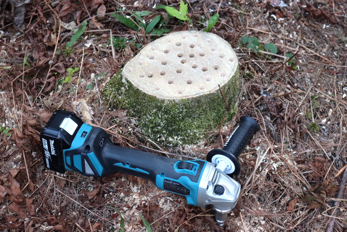 How to Rot a Tree Stump Fast
