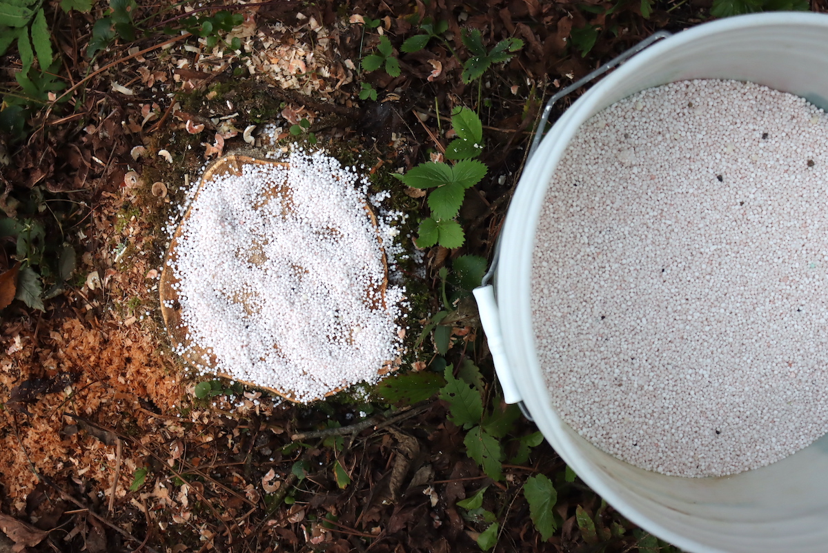 Adding Potassium Nitrate to a Stump to Rot it Fast