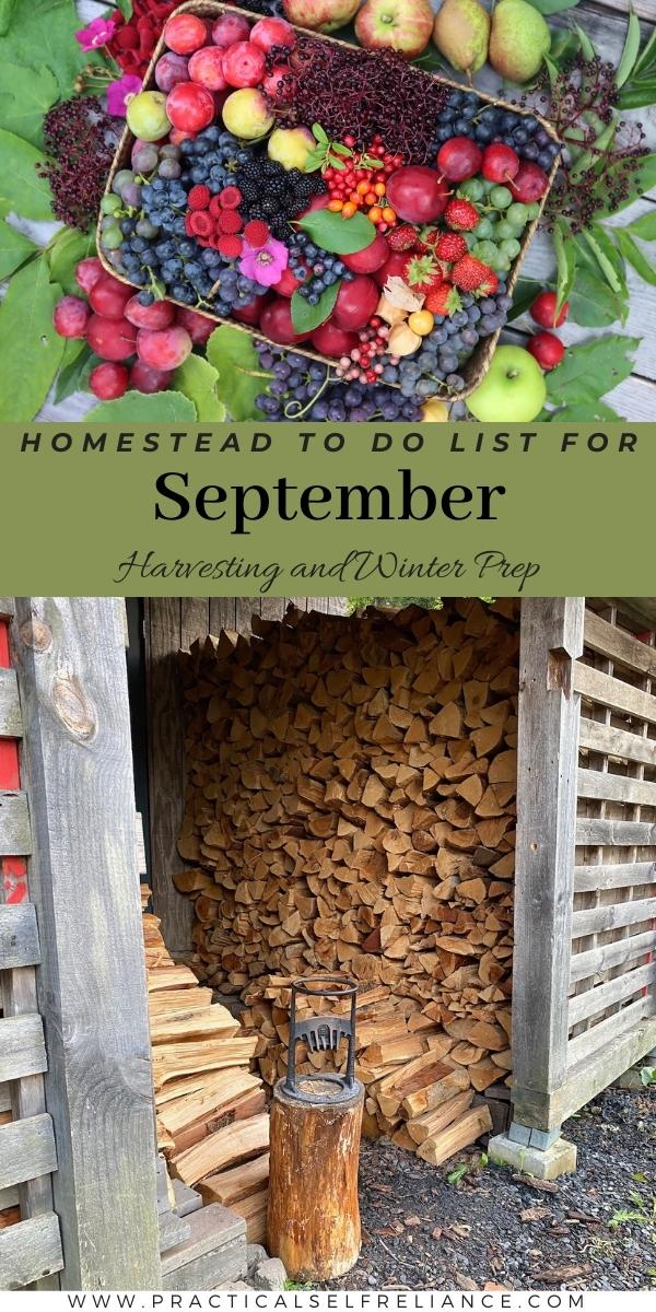 September Homestead to do List