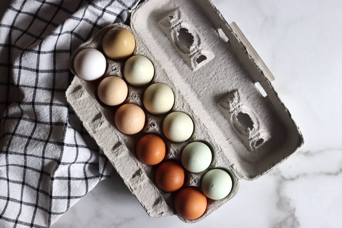 Egg Colors
