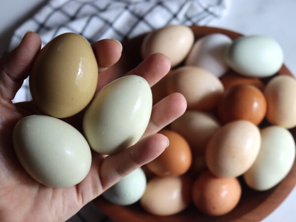 Green Eggs