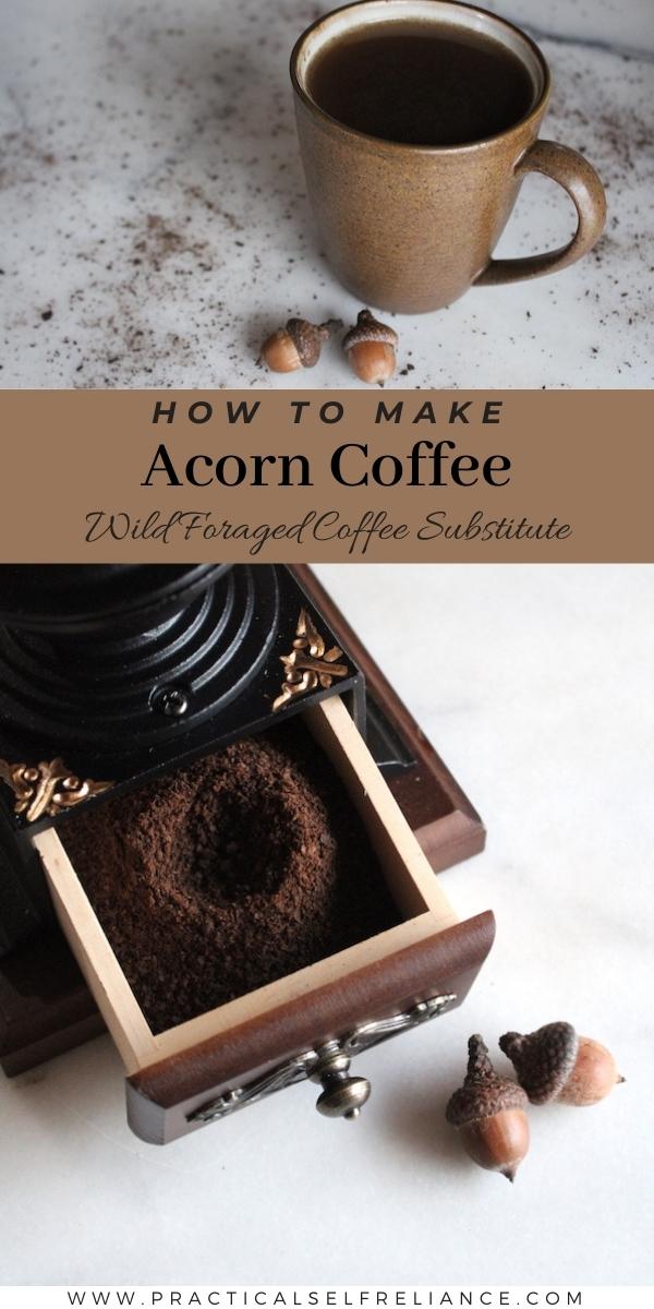 How to Make Acorn Coffee