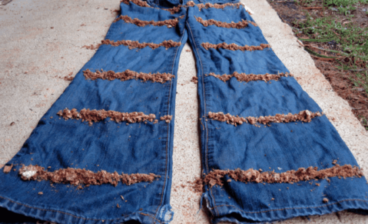 Mushroom Jeans