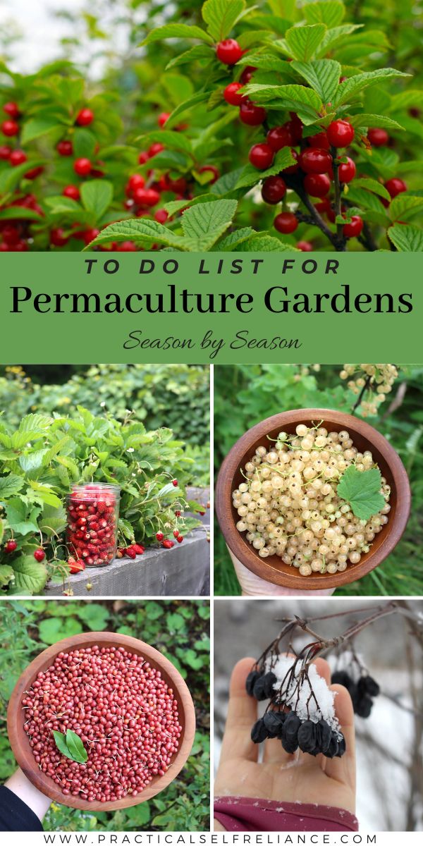 Seasonal Permaculture To Do List