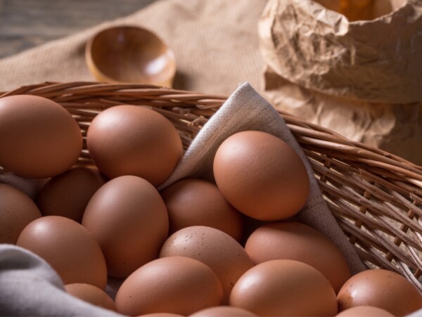Brown Egg Laying Chicken Breeds
