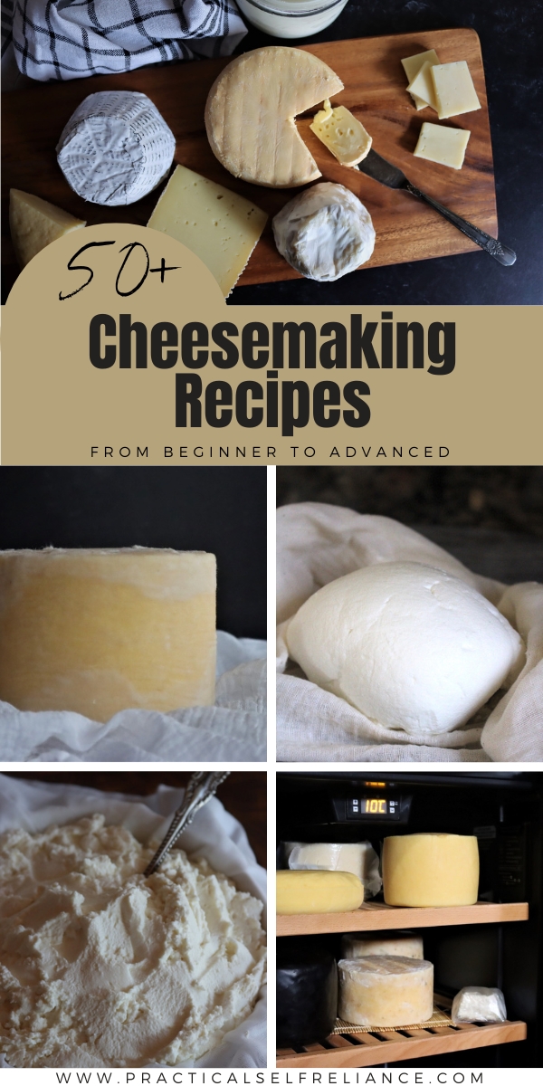 Cheesemaking Recipes