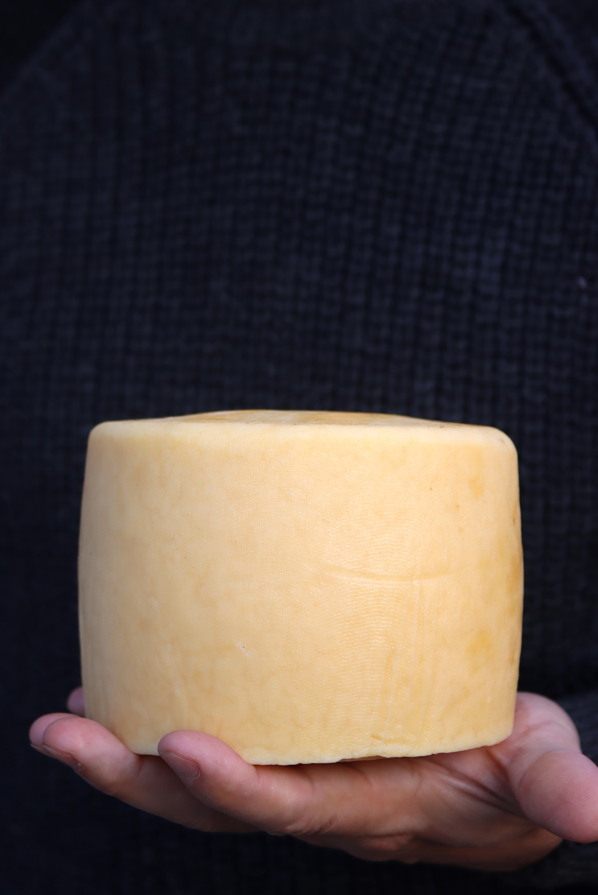 Our Own Homemade Parmesan Style Cheese