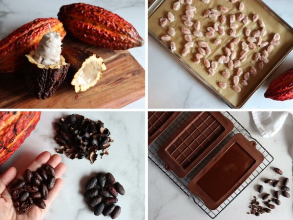 How to Make Chocolate from Scratch