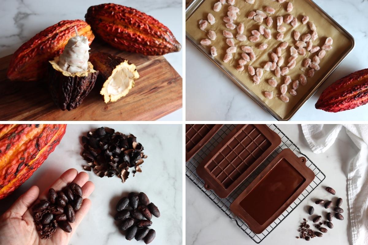 How to Make Chocolate from Cacao Beans (Chocolate from Scratch)