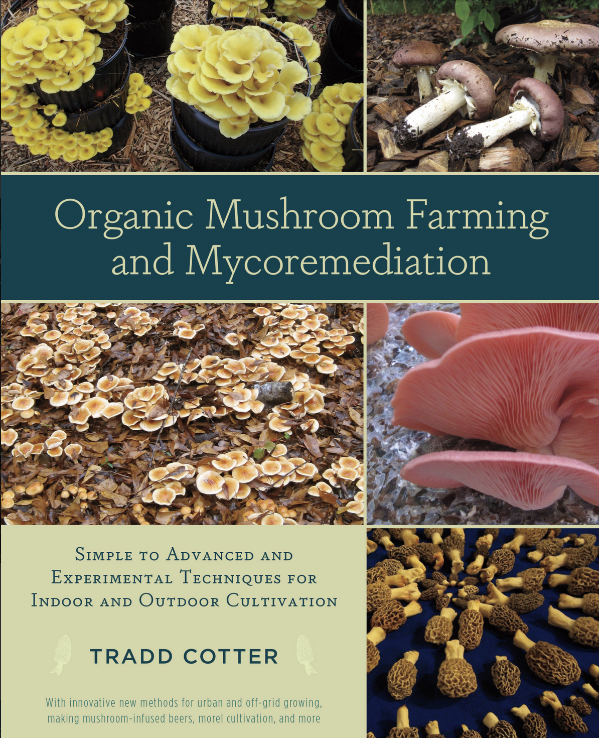 Organic Mushroom Farming and Mycoremediation